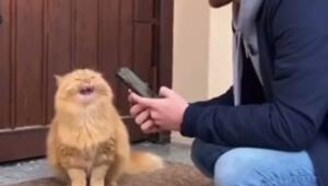 Центробанк выпустил официальный гайд, как общаться с мошенниками
