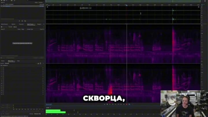 Данные научились шифровать в СКВОРЦАХ Данные научились шифровать в СКВОРЦАХ