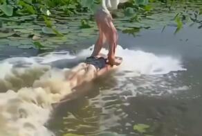  Нейрокрипота на ночь