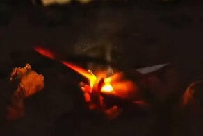 Эта умная сельскохозяйственная машина использует встроенный искусственный интеллект для автоматического выявления сорняков в реальном времени и их моментального истребления, без применения химикатов