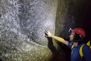 Учёные обнаружили самую крупную известную паутину — она занимает примерно 106 м² и находится в пещере на границе Албании и Греции