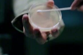 Новый сериал от автора «Во все тяжкие» вышел — уже можно посмотреть первые 2 серии шоу «Из многих»