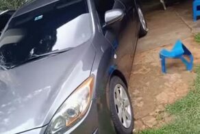 Видеодоказательство факта, что кот незаменим в хозяйстве