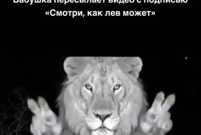 В России хотят обязать маркировать ИИ-контент