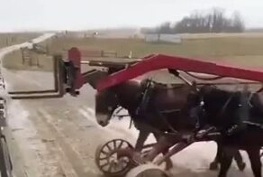 Как тебе такое, Илон Маск?