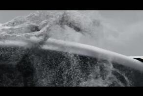  Звезда недели: Сбер показал человекодобного робота Грина