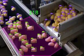 Иногда самые впечатляющие ИИ-решения — самые простые: инженер по имени Виет создал компактную систему компьютерного зрения, которая считает картошку на конвейере без гигантских датасетов и огромных моделей