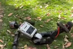 Ф-Ф-ФРИСТАЙЛО