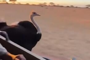  Врываемся в рабочую неделю с разминки для мозга