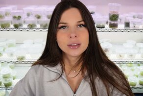 Девушка одним видео обвалила многомиллионный бизнес редких растений