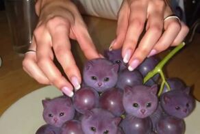 Тот самый вкусный виноград из Тиктока