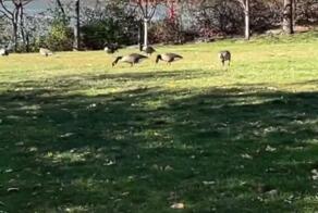  Слушаем музыку, которая идеально мэтчится с вашим окружением