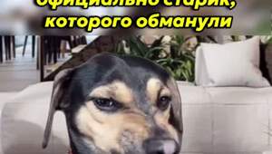 А всё уже, никому верить нельзя