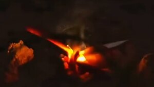 Эта умная сельскохозяйственная машина использует встроенный искусственный интеллект для автоматического выявления сорняков в реальном времени и их моментального истребления, без применения химикатов