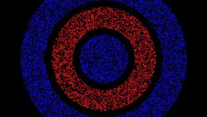 Главный спор в интернете сейчас — эта оптическая иллюзия, где одни видят спереди красный, а другие уверены, что впереди синий