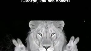 В России хотят обязать маркировать ИИ-контент