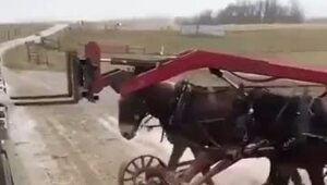 Как тебе такое, Илон Маск?