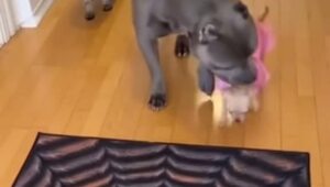 Прежде чем действовать, нужно проверить