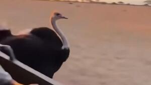  Врываемся в рабочую неделю с разминки для мозга