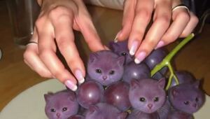 Тот самый вкусный виноград из Тиктока