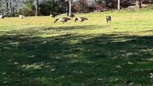  Слушаем музыку, которая идеально мэтчится с вашим окружением