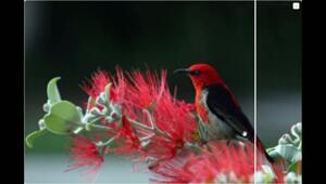 Революция в апскейле картинок — вышла нейронка Thera, которая спасает даже самые плохие фотки