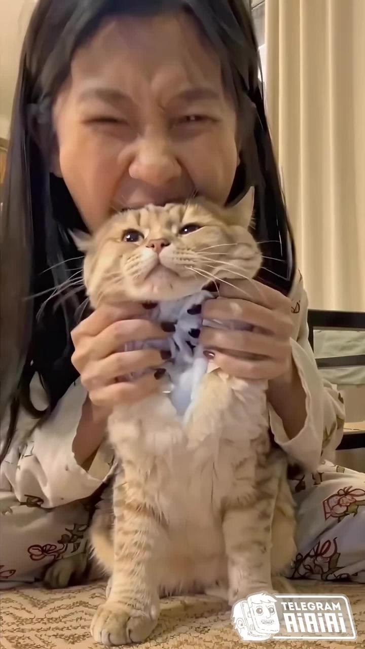Нейрокрипота на ночь