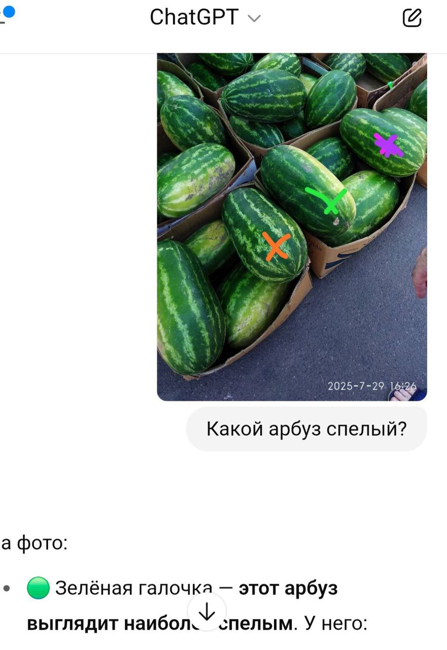 ChatGPT доверили выбрать спелый арбуз