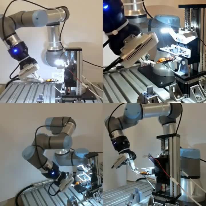 Производство тараканов-киборгов поставили НА ПОТОК