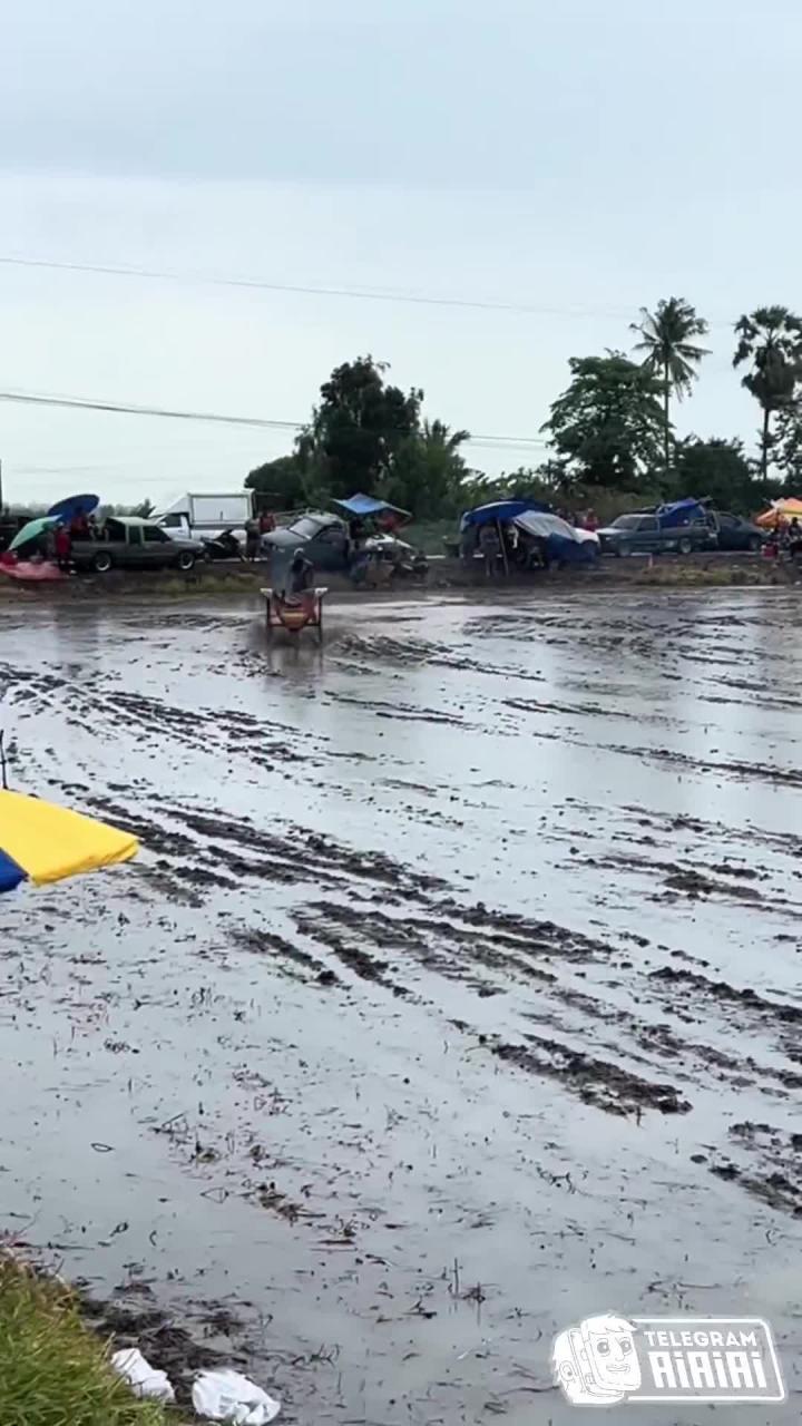 Не забываем делать разминку для мозга 