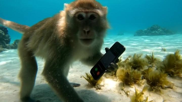 «Частичная блокировка» звонков в Telegram и WhatsApp будет проявляться как «бульканье», шипение, помехи во время разговора, это сделает неудобным использование этого вида связи — гендиректор Telecom Daily Денис Кусков