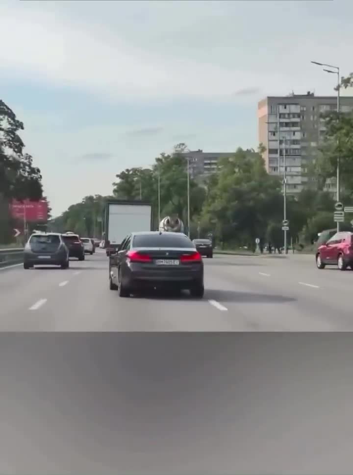 Удивительное событие: как водитель BMW воспользовался указателем поворота