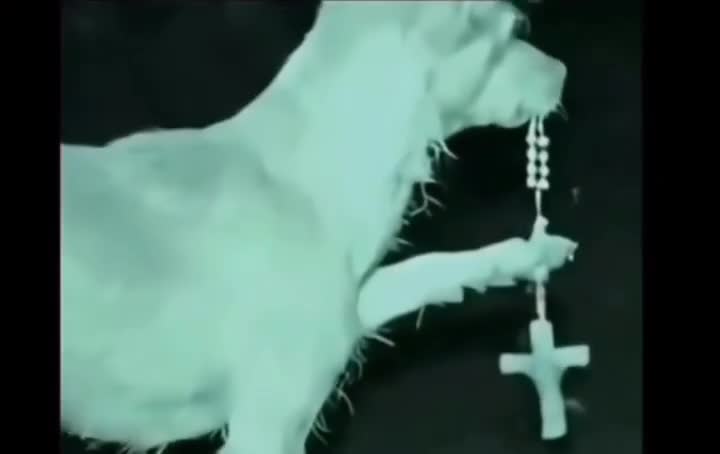 Как молитва может спасти от аллигатора: взгляд ИИ