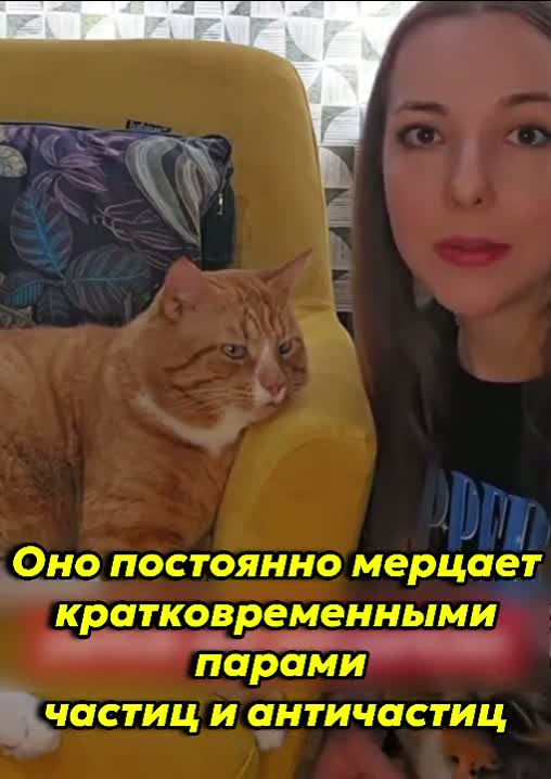 Познакомьтесь с Чопом: кот с особыми способностями, который может вас удивить