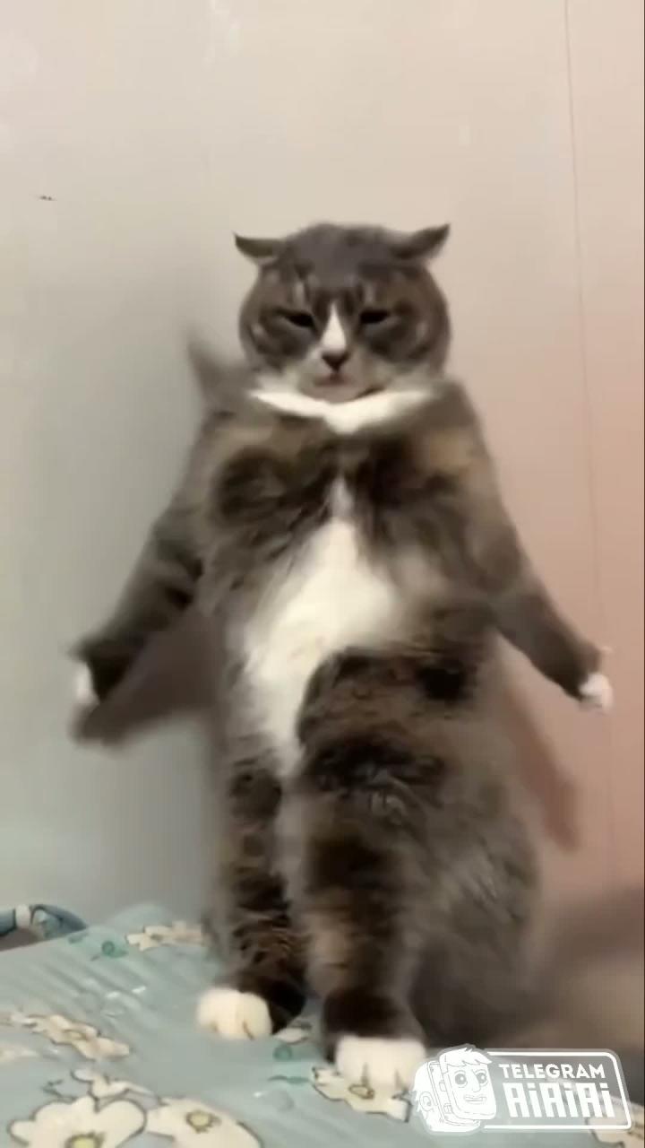 Пятничное настроение в действии!