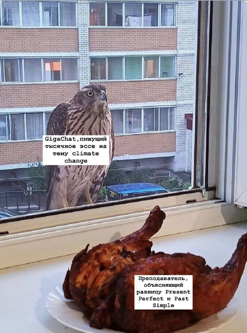 Ускоряем сайт за счет Brotli-сжатия: быстро и просто