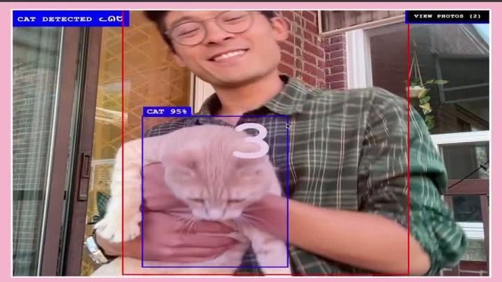Канадец создал мобильное приложение с ИИ, которое автоматически снимает фото, если в объектив попадает кот