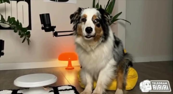 Профессионалы поделились, как достать кожаного