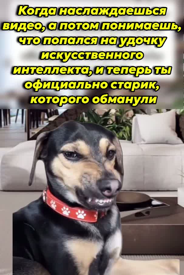 А всё уже, никому верить нельзя