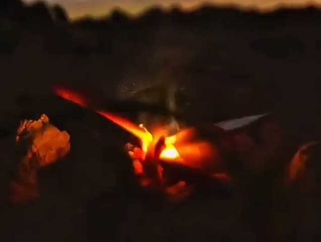 Эта умная сельскохозяйственная машина использует встроенный искусственный интеллект для автоматического выявления сорняков в реальном времени и их моментального истребления, без применения химикатов