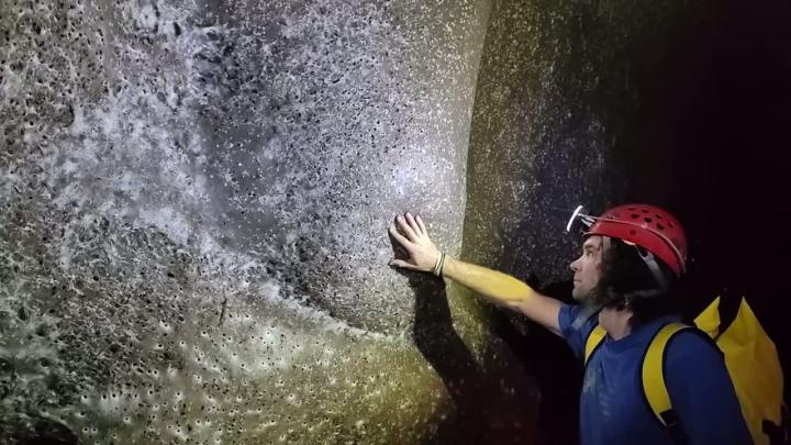 Учёные обнаружили самую крупную известную паутину — она занимает примерно 106 м² и находится в пещере на границе Албании и Греции