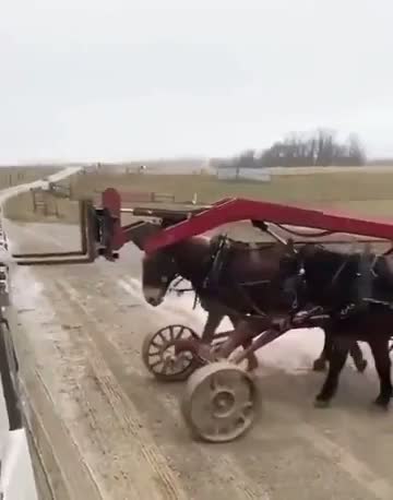 Как тебе такое, Илон Маск?