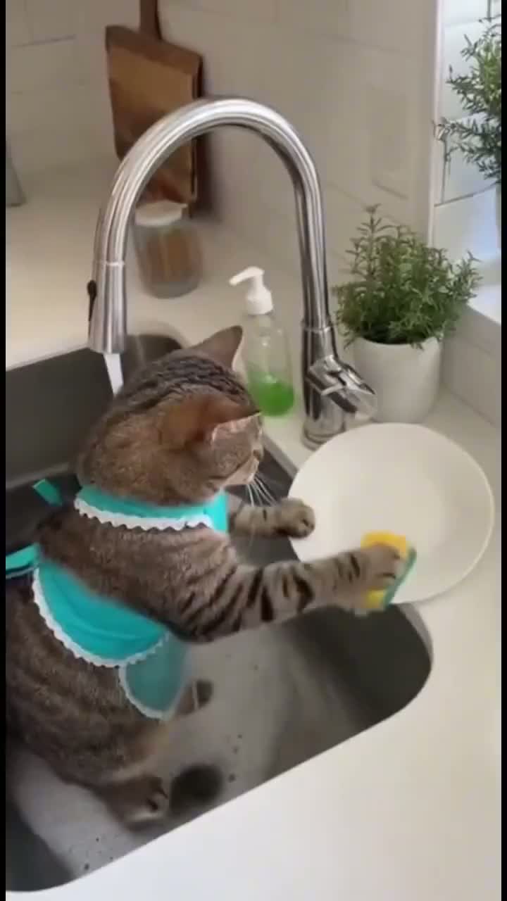 Нейросети забрали у нас святое — милые видео с котиками