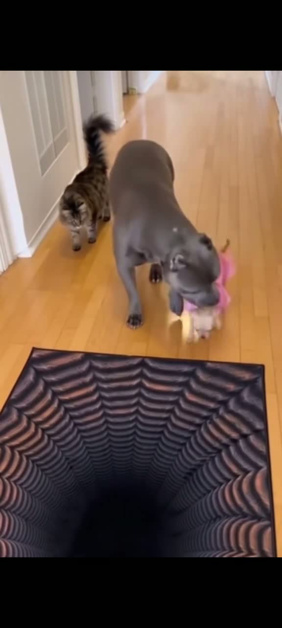 Прежде чем действовать, нужно проверить