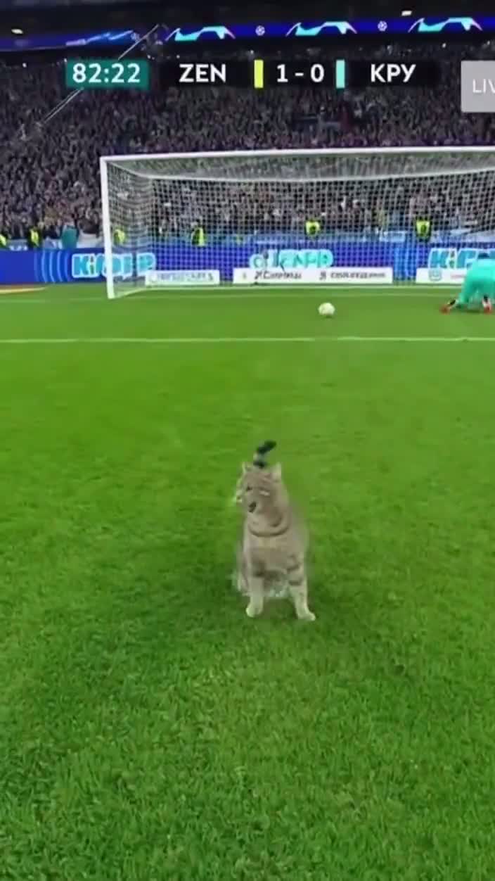 POV: когда вратарь поставил против себя