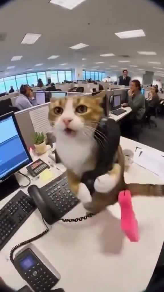 Рабочее настроение в пятницу примерно такое