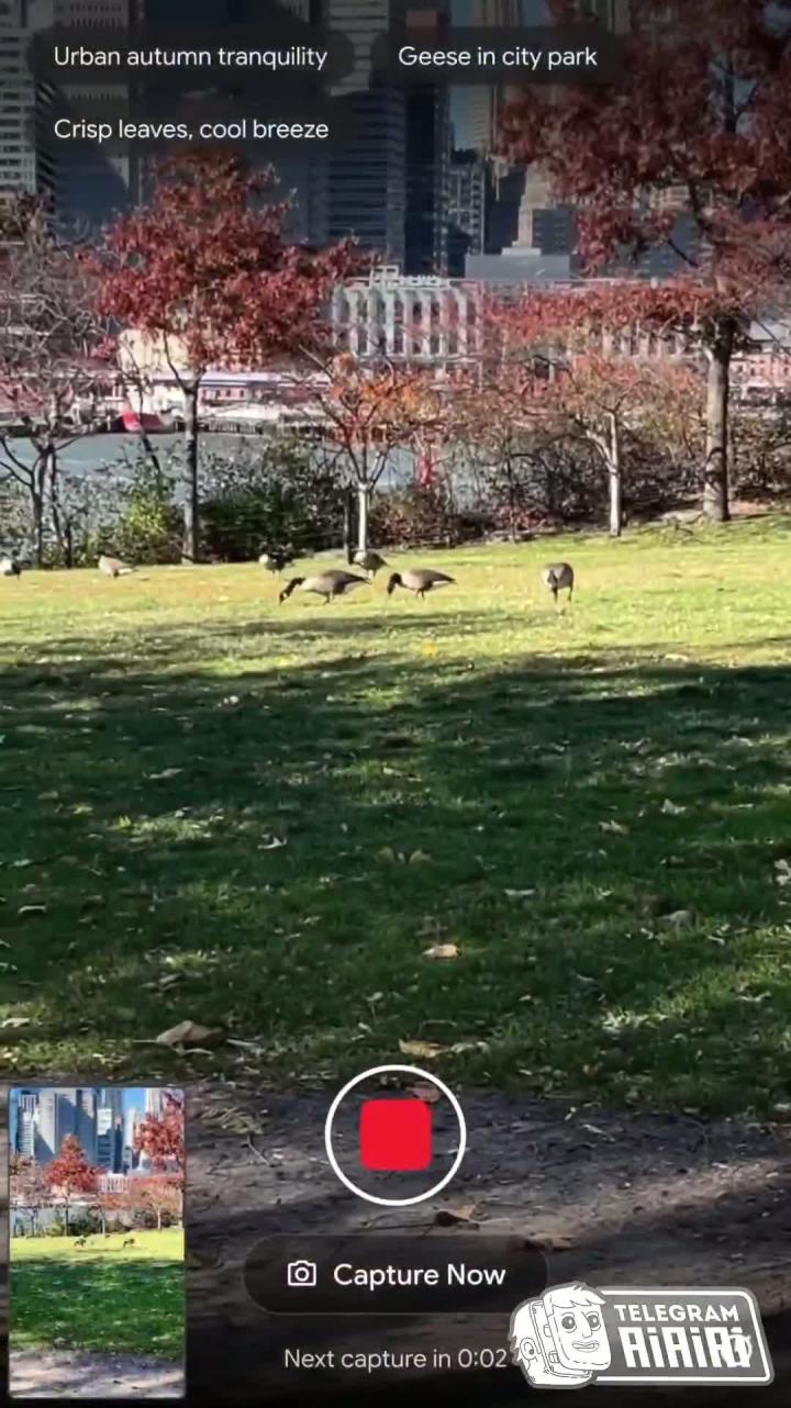  Слушаем музыку, которая идеально мэтчится с вашим окружением