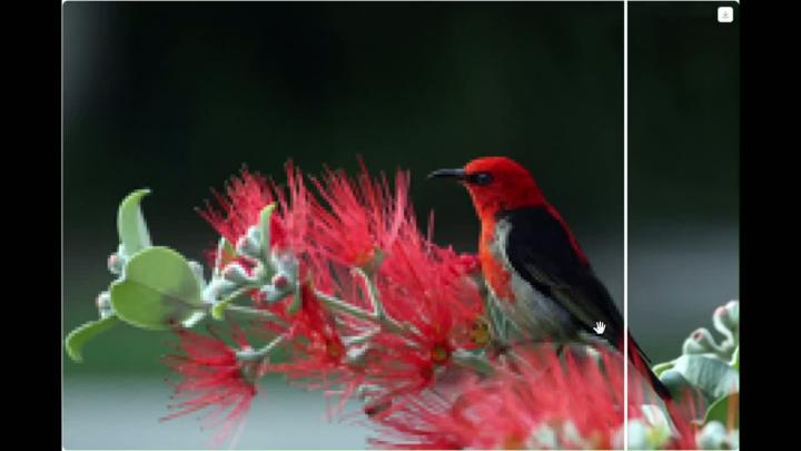 Революция в апскейле картинок — вышла нейронка Thera, которая спасает даже самые плохие фотки